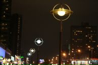 Фотография Штерн Розы