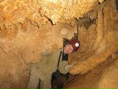 Фотография Вшивкова Андрея