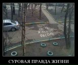 Фотография Ермаковой Анастасии