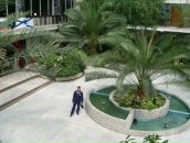 Иван Панченко фотография #11 (источник - https://vk.com/id55579)