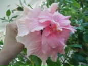 Фотография Саенко Марины