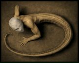 Фотография Scott Анастасии