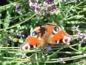 Фотография Яриной Натальи