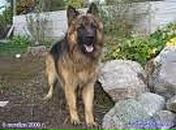 Гріша Мацков фотография #21 (источник - https://vk.com/id89545862)