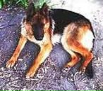 Гріша Мацков фотография #18 (источник - https://vk.com/id89545862)