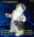 Я... ФоЛныФко=) фотография #7 (источник - https://vk.com/id58452694)