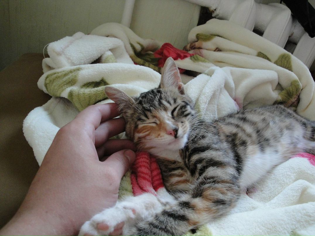 Полина Fullmoon фотография #20