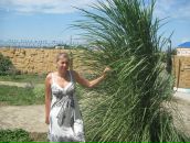 Лідія Ганібал фотография #4 (источник - https://vk.com/id71517154)