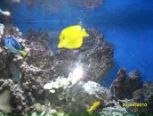 Андрій Шакуда фотография #47 (источник - https://vk.com/id86138264)