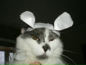 Фотография Гапоновой Зои