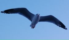 Фотография Антоновой Татьяны