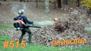 Приколы август 2019 №515