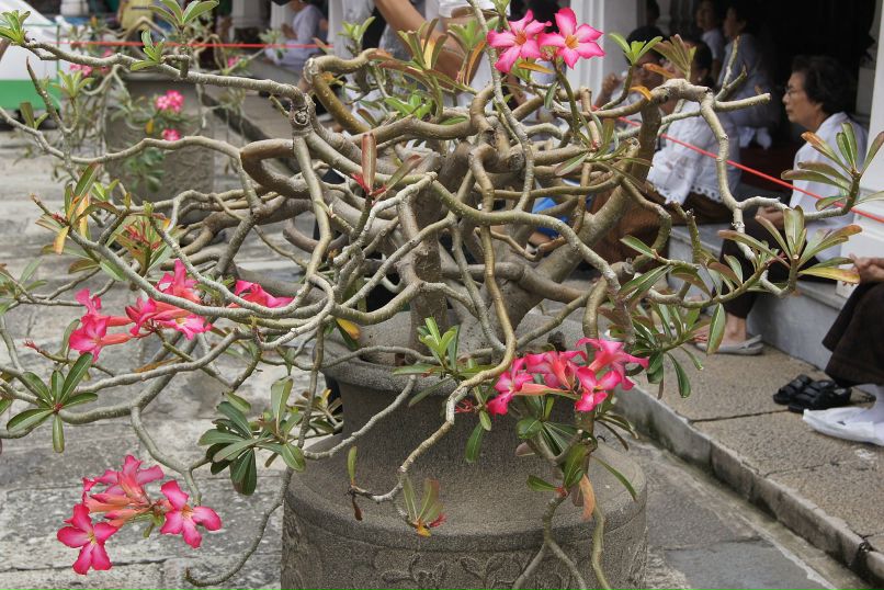 Иван Пешков фотография #50