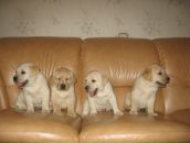 Фотография Мокряк Вероники