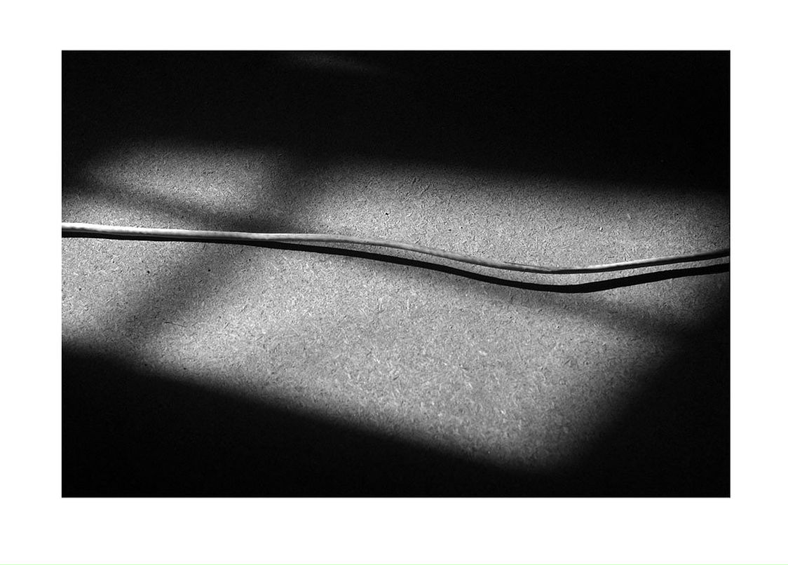 Саша Тарасенко фотография #42