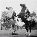 Фотография Денисовой Вероники