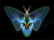 Фотография Солис Дины