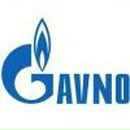 Фотография Володичева Димонshevl