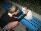 Фотография Лисуновой Евгении