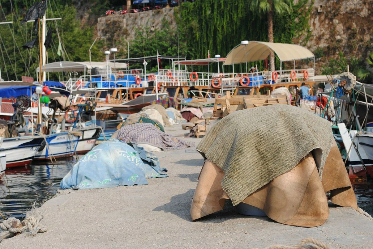 Den Cherkasov фотография #44