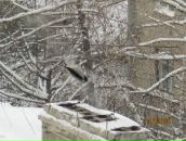 Фотография Давыдовой Олеси