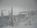 Ольга Кощієнко фотография #30 (источник - https://vk.com/id6713827)