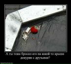Просто Рамиска=) фотография #29 (источник - https://vk.com/id155554219)