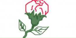 Віро Ірке фотография #1