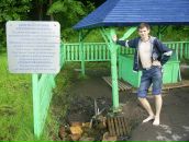 Фотография Волка Алекса