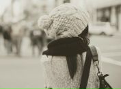 Фотография Йога Трайбл Любаши