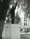Віта Васюта фотография #22 (источник - https://vk.com/id123893942)