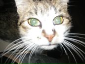 Фотография Видякиной Виктории