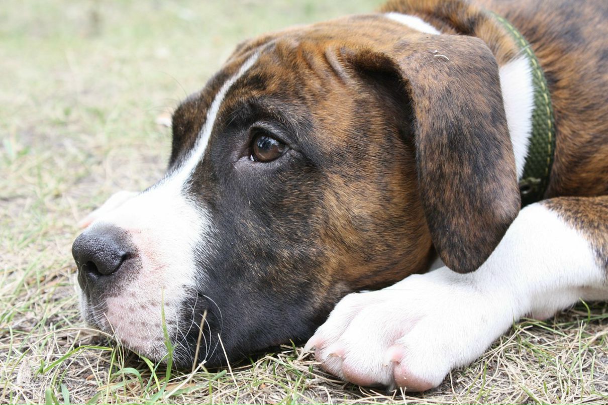 Кирилл Митяев фотография #6