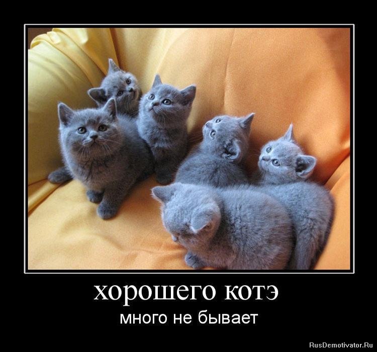 Дмитрий Белясник фотография #50