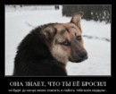 Назар Долинський фотография #25 (источник - https://vk.com/id65599477)