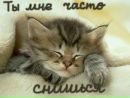 Сергій Гуцал фотография #11 (источник - https://vk.com/id75418318)