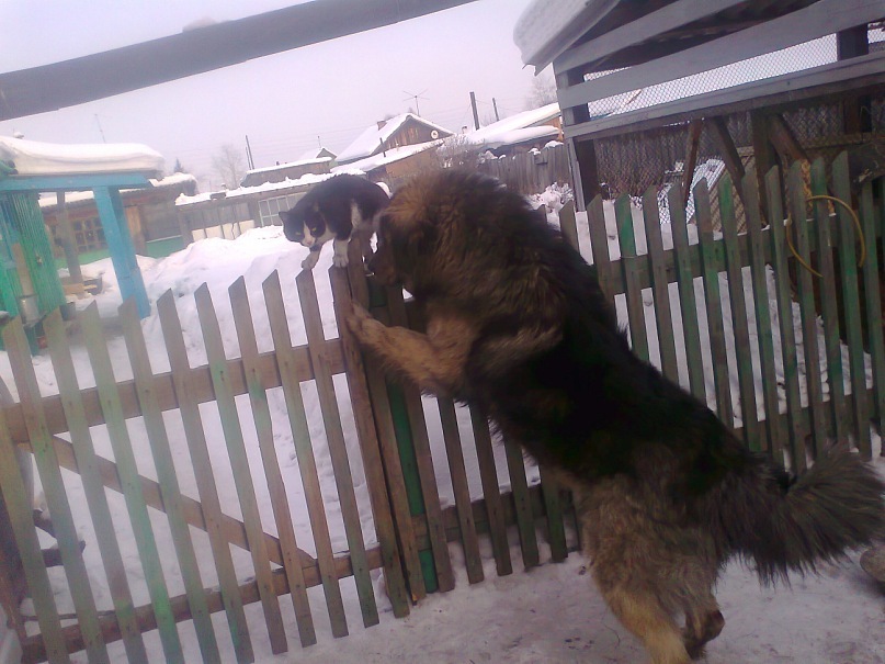 Денис Поляков фотография #41