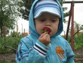 Інга Пугач фотография #19 (источник - https://vk.com/id65931052)