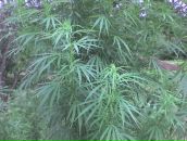 Женя Ладигін фотография #12 (источник - https://vk.com/id132092378)