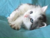 Фотография Чудновца Андрея