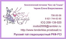Фотография Черняк Елены
