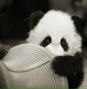 Дмитрий Гриценко фотография #36 (источник - https://vk.com/id2354151)