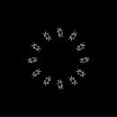 Фотография Сёмочкина Алексея