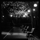 Фотография Шелковниковой Анны