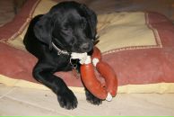 Max Max фотография #16 (источник - https://vk.com/id111886199)