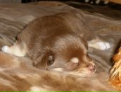 Назар Тимків фотография #4 (источник - https://vk.com/id92346404)