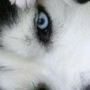 Каріно4ка♥ Шрамко фотография #31 (источник - https://vk.com/id147791993)