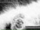 Лєра Щербина фотография #9 (источник - https://vk.com/id68521705)