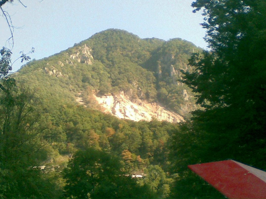 Sergio Sergio фотография #33