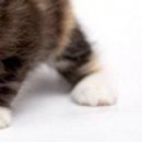 Юля Матвійчук фотография #16 (источник - https://vk.com/id135907201)